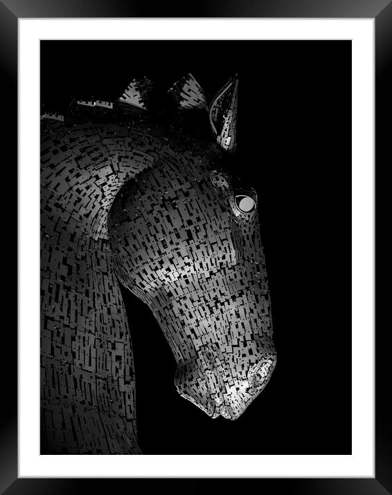 Solitary Kelpie Framed Mounted Print by Tommy Dickson