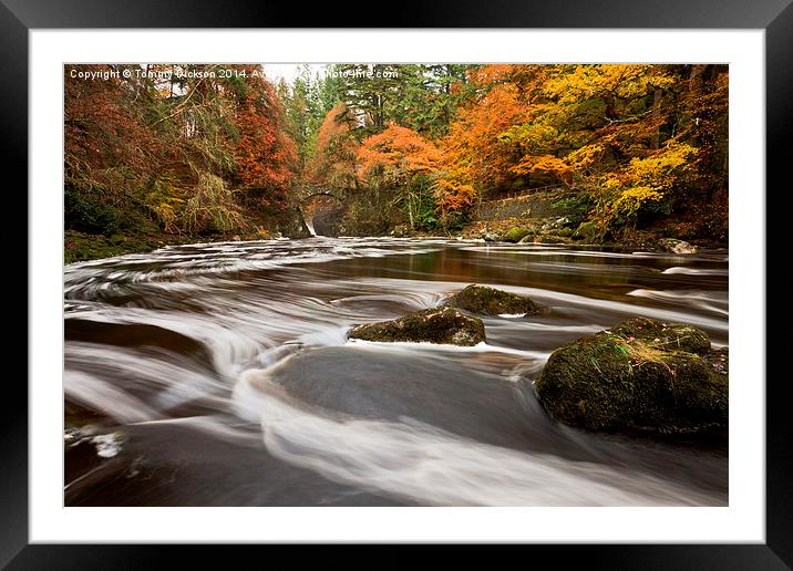 Dunkeld Hermitage. Framed Mounted Print by Tommy Dickson