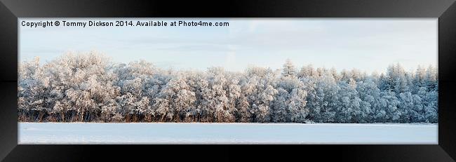 Enchanted Winter Wonderland Framed Print by Tommy Dickson