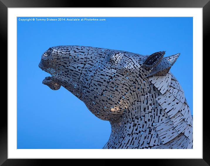 Kelpie Horse Sculpture at Blue Hour Framed Mounted Print by Tommy Dickson