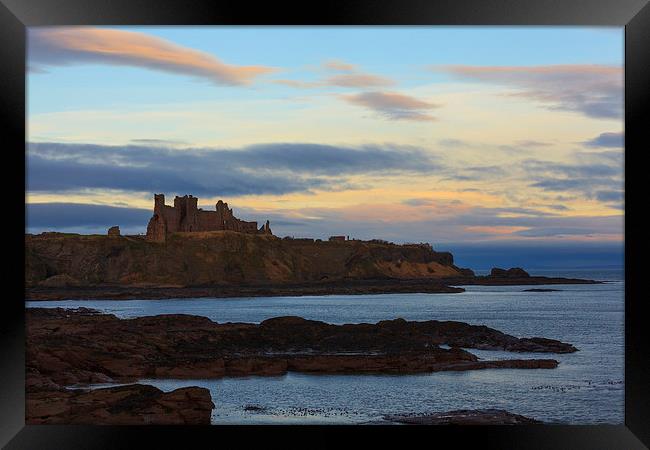  Tantallon castle on the east coast of Scotland. Framed Print by Tommy Dickson