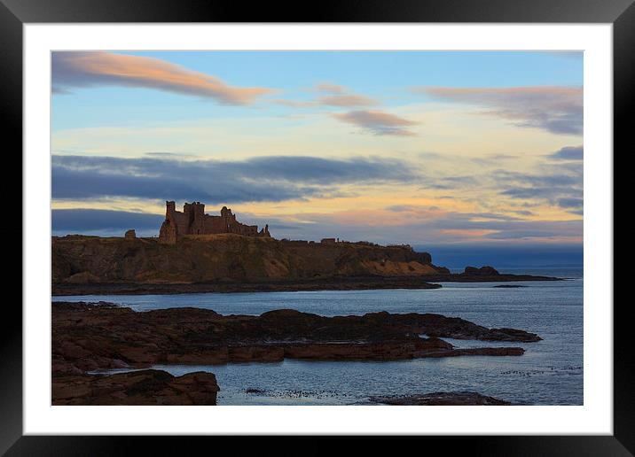  Tantallon castle on the east coast of Scotland. Framed Mounted Print by Tommy Dickson
