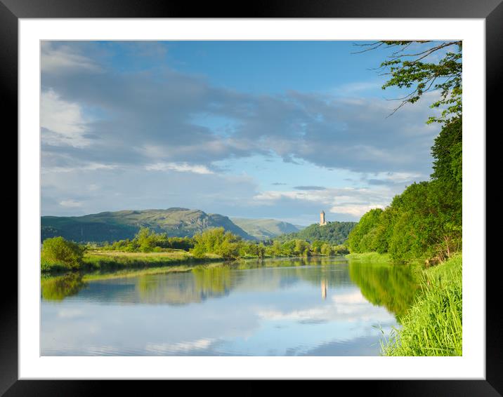 River Forth towards the Wallace Monument. Framed Mounted Print by Tommy Dickson