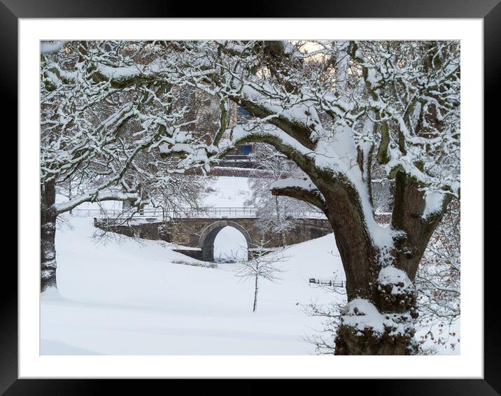 A snowy scene in Callendar Park, Falkirk.  Framed Mounted Print by Tommy Dickson