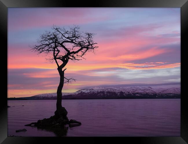 Serene Scottish Sunset Framed Print by Tommy Dickson