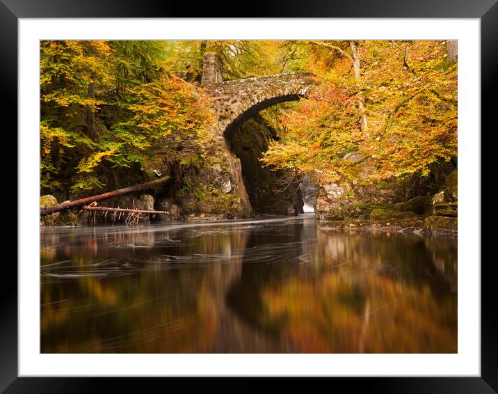 Autumn at the Hermitage. Framed Mounted Print by Tommy Dickson