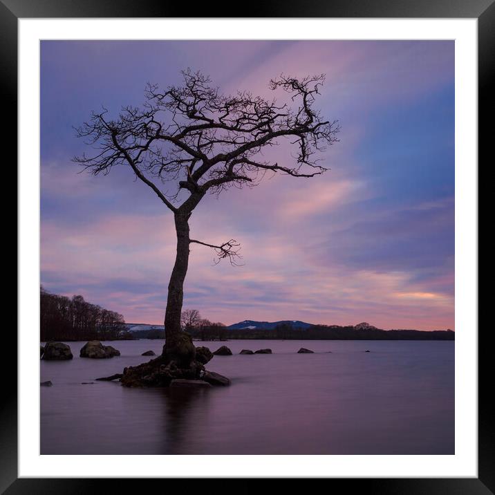 Loch Lomond At Sunset Framed Mounted Print by Tommy Dickson