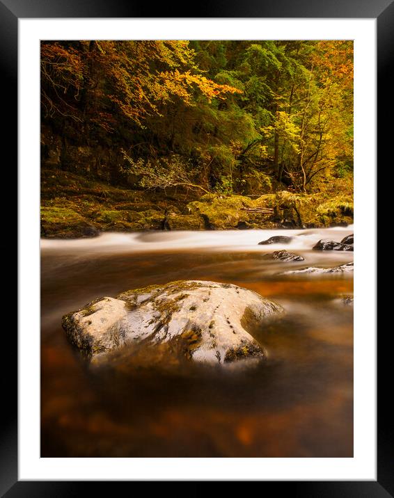 Autumn in Scotland. Framed Mounted Print by Tommy Dickson