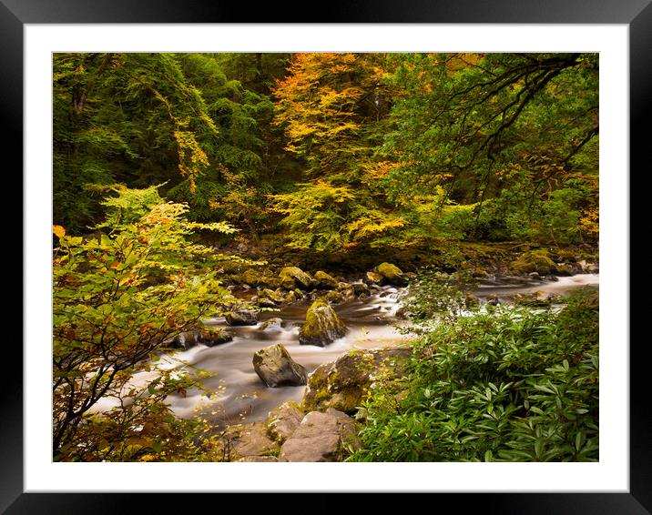 River Braan Autumn. Framed Mounted Print by Tommy Dickson
