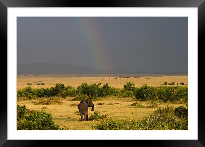 Masai Mara Rainbow Framed Mounted Print by Mike Snelle
