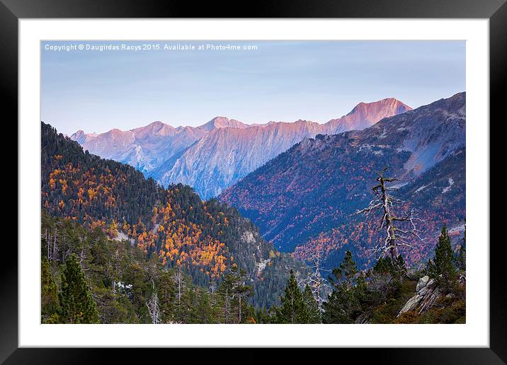 Pyrenees mountain evening glow Framed Mounted Print by Daugirdas Racys