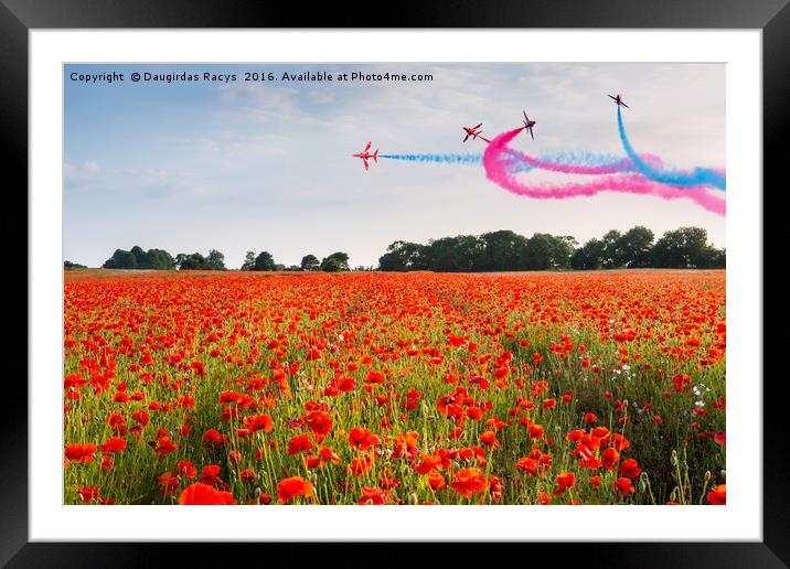 Red Arrows acrobatic flight over poppy field Framed Mounted Print by Daugirdas Racys