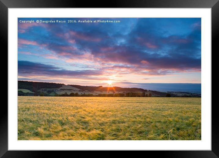 Crop field sunset Framed Mounted Print by Daugirdas Racys