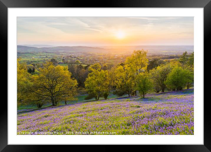 The Bluebell-covered Malvern Spring Sunset Framed Mounted Print by Daugirdas Racys