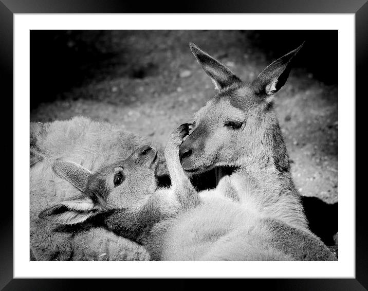 Mother love Framed Mounted Print by Kenneth Dear