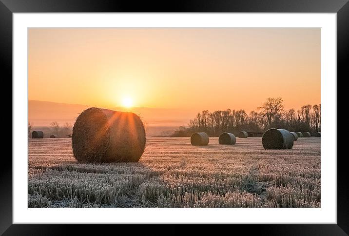 Sunrise over the Bales Framed Mounted Print by Roz Greening