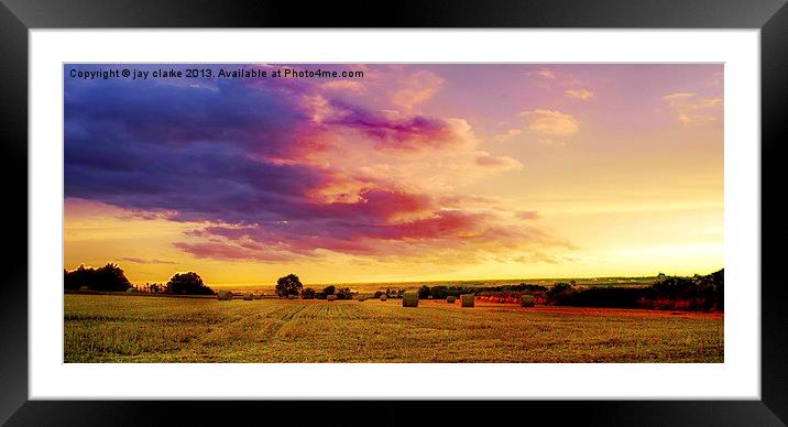 the colour purple Framed Mounted Print by jay clarke