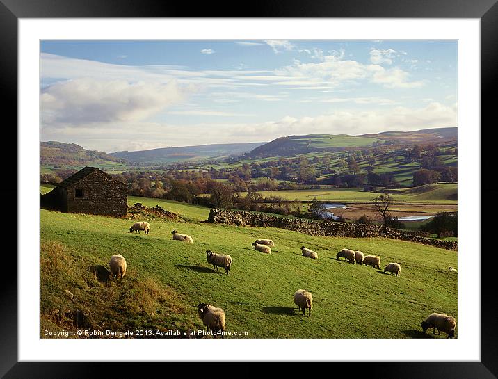Swaledale, near Reeth, North Yorkshire Framed Mounted Print by Robin Dengate