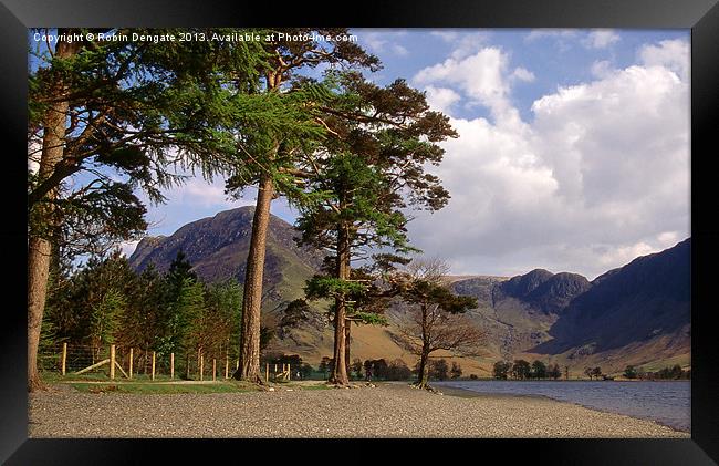 Buttermere Pines and High Crag Framed Print by Robin Dengate