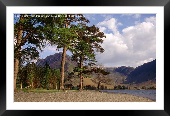 Buttermere Pines and High Crag Framed Mounted Print by Robin Dengate