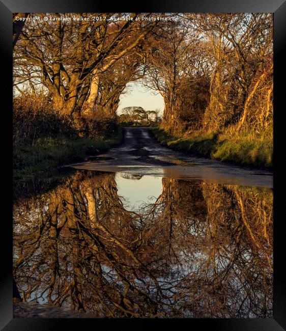 autumn reflections in the country side Framed Print by carolann walker