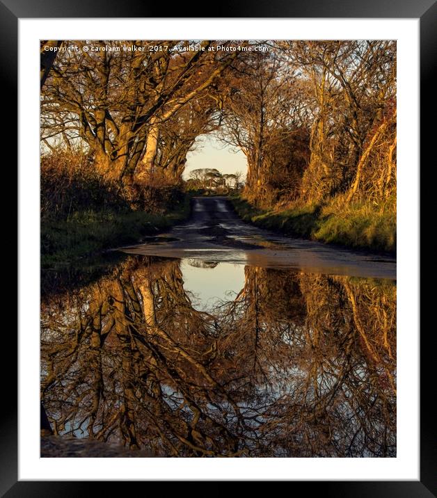 autumn reflections in the country side Framed Mounted Print by carolann walker