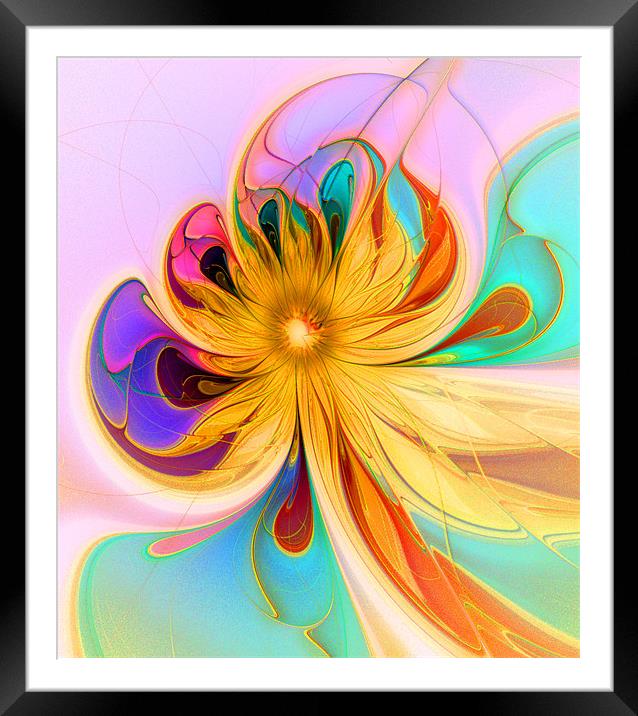 Stained Glass Floral Framed Mounted Print by Amanda Moore