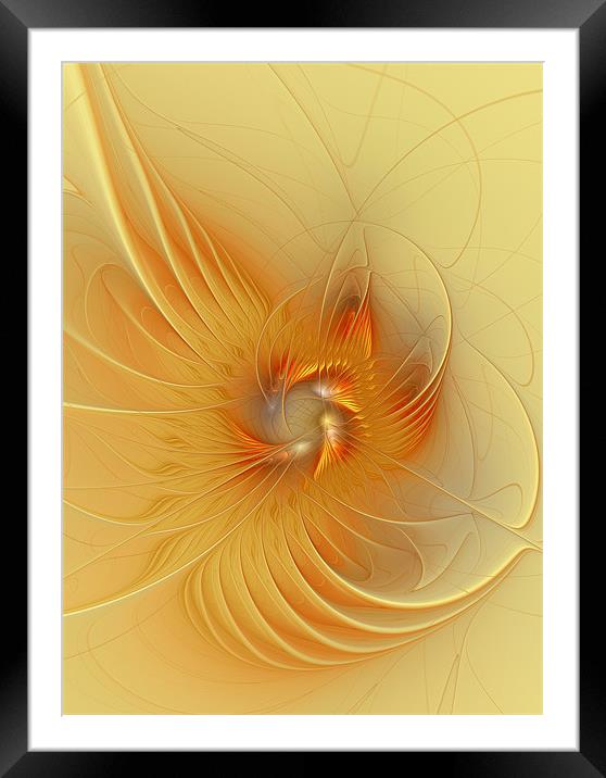 Mellow Yellow Framed Mounted Print by Amanda Moore