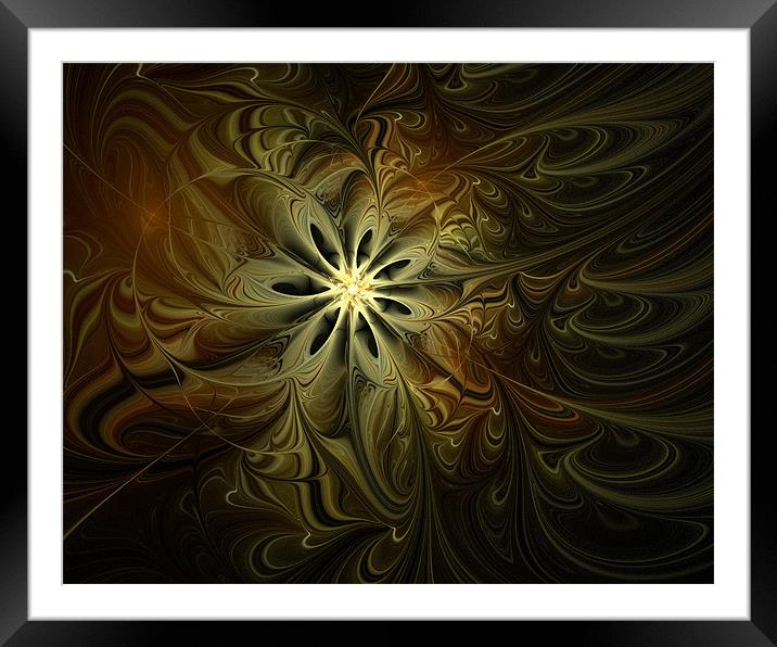 Starbright Framed Mounted Print by Amanda Moore