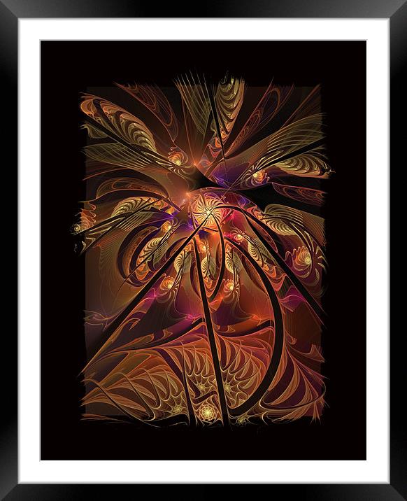 Feathery Foliage Framed Mounted Print by Amanda Moore