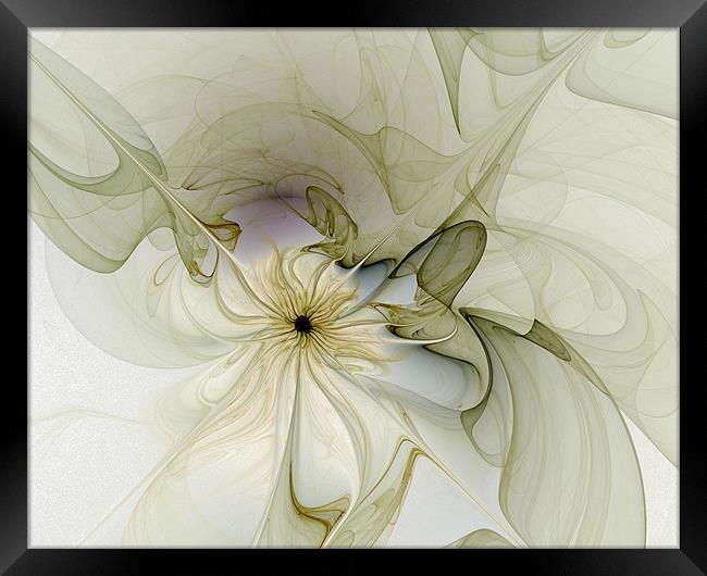 Silk Petals Framed Print by Amanda Moore