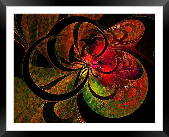 Vibrant Moods Framed Mounted Print by Amanda Moore