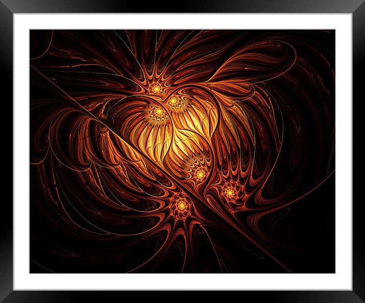Brown Onion Framed Mounted Print by Amanda Moore