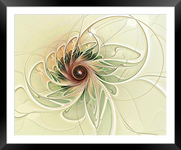 Gently Framed Mounted Print by Amanda Moore