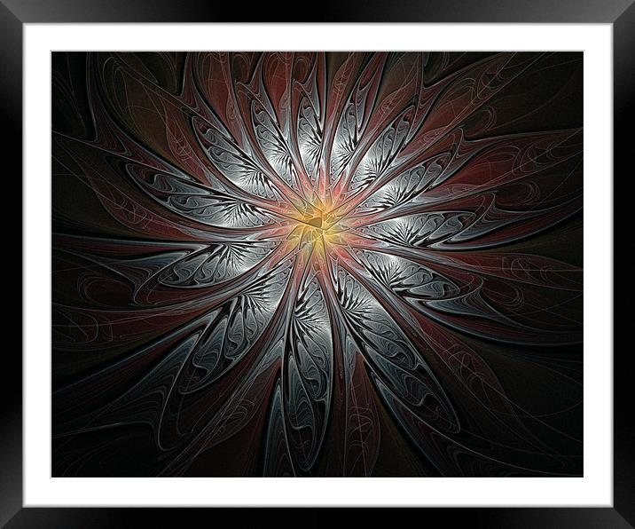 Petals in Pewter Framed Mounted Print by Amanda Moore