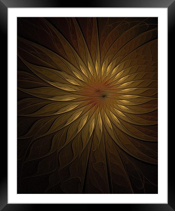 You are my Sunshine Framed Mounted Print by Amanda Moore