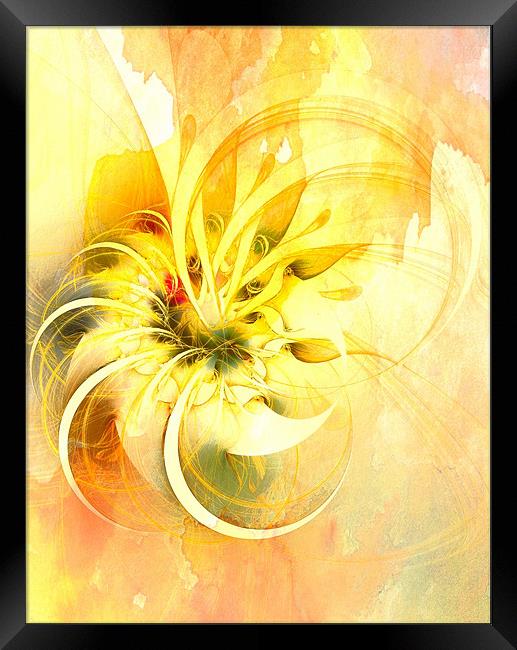 Mad about Saffron Framed Print by Amanda Moore