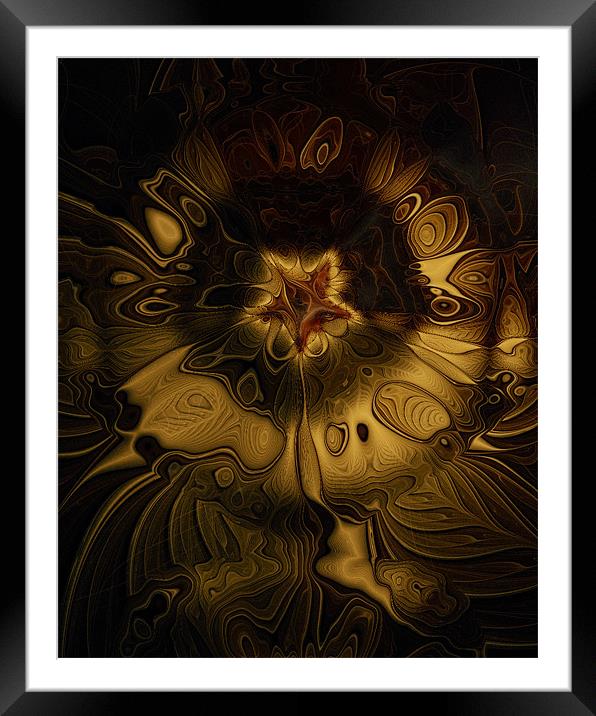 All Gold Framed Mounted Print by Amanda Moore