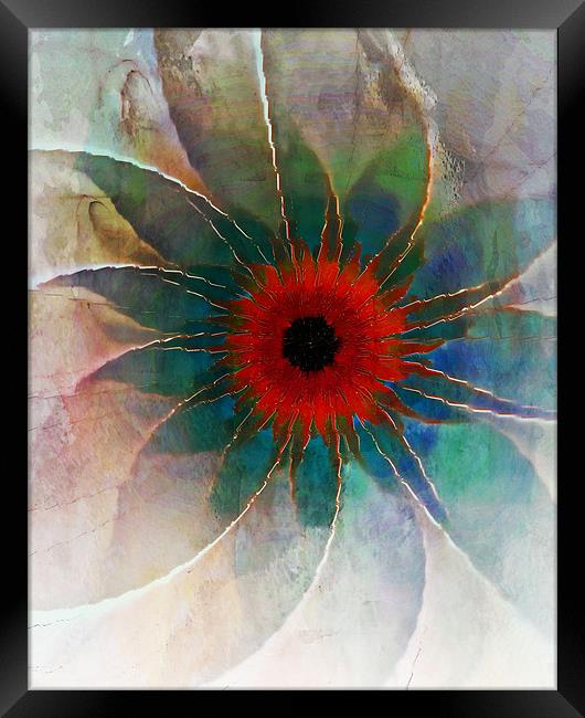 In Glass Framed Print by Amanda Moore