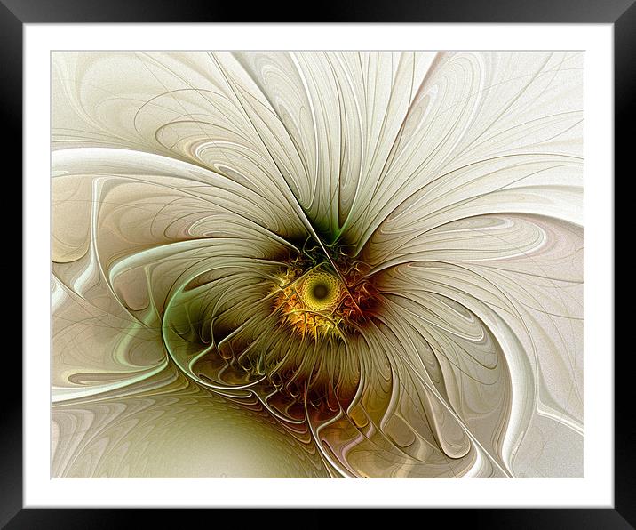 Gentle Movement Framed Mounted Print by Amanda Moore