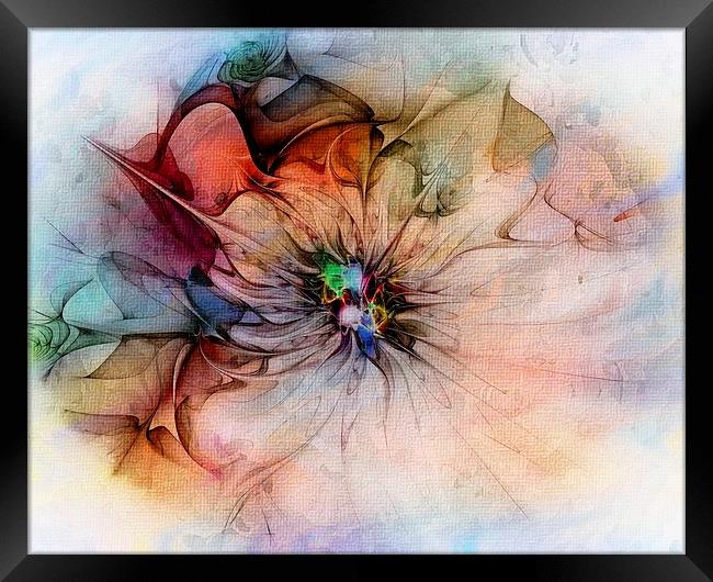 Blooming Framed Print by Amanda Moore
