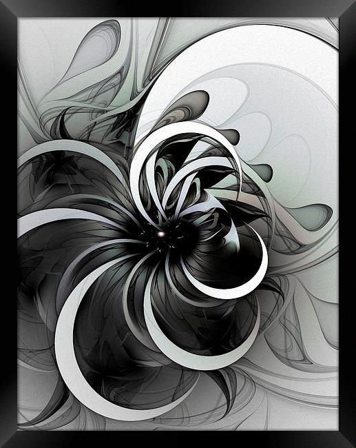 Swirl Framed Print by Amanda Moore