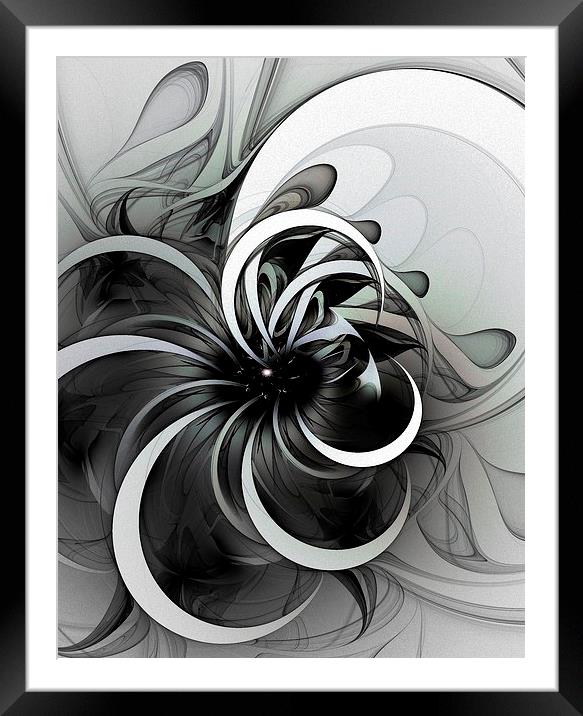 Swirl Framed Mounted Print by Amanda Moore