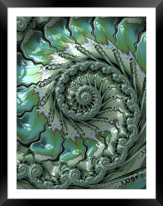  Fronds Framed Mounted Print by Amanda Moore