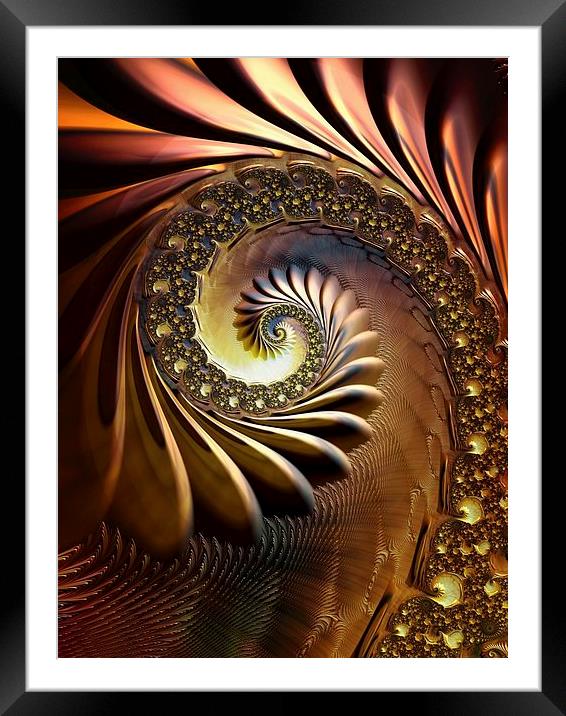 Bronze Coil Framed Mounted Print by Amanda Moore