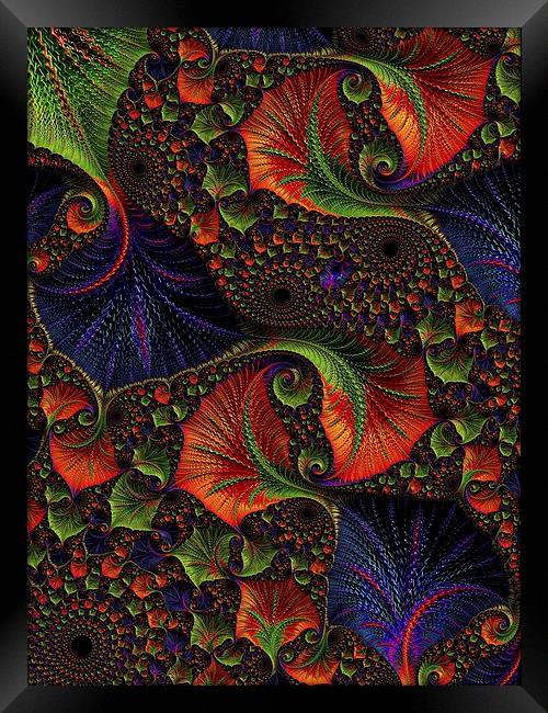  Fractal Embroidery Framed Print by Amanda Moore
