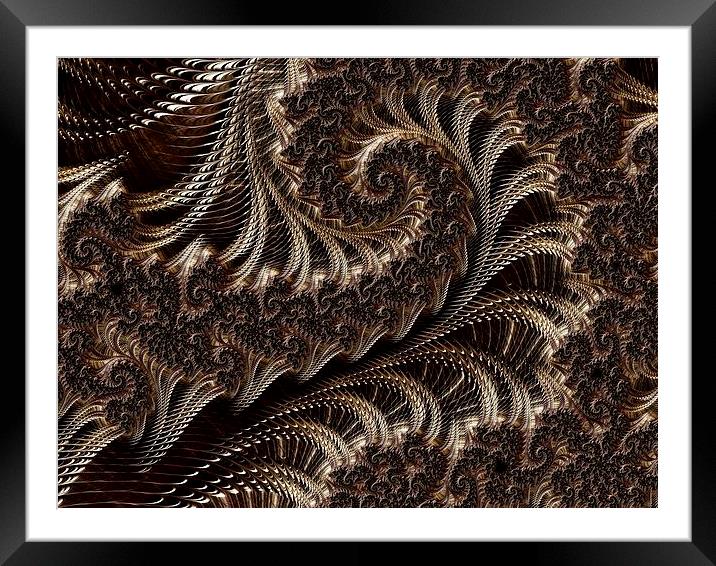  Ornate Framed Mounted Print by Amanda Moore