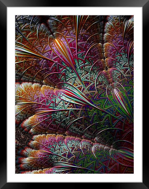  Flurry of Colour Framed Mounted Print by Amanda Moore