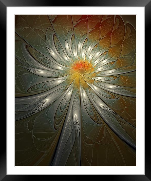 Silver Shimmer Framed Mounted Print by Amanda Moore