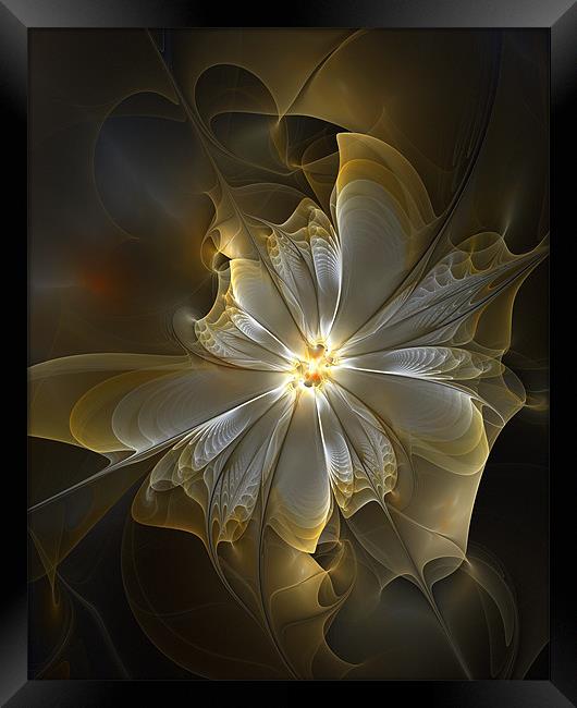 Silver and Gold Framed Print by Amanda Moore